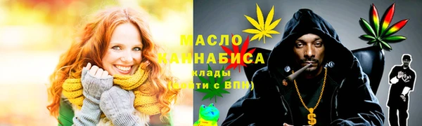 дмт Алексин