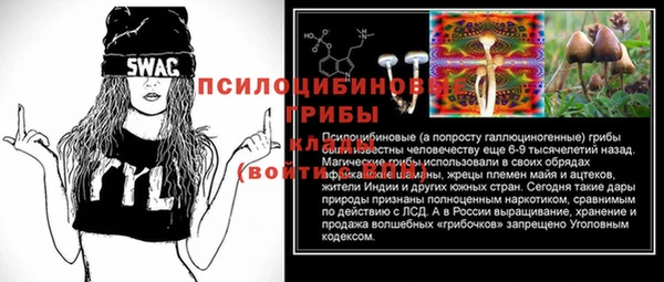 дмт Алексин