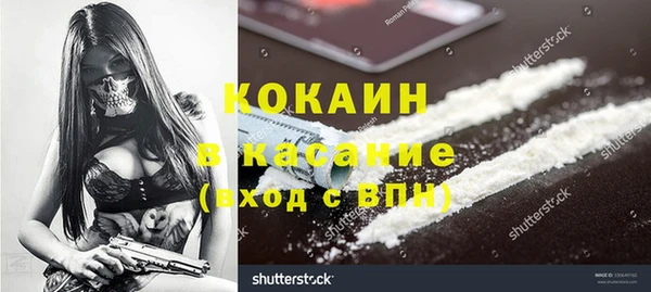 гашик Алзамай